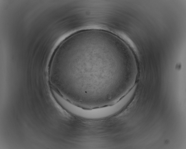 X0000094461380200711211531