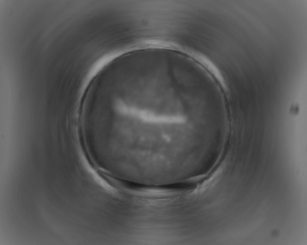 X0000094461381200711211531