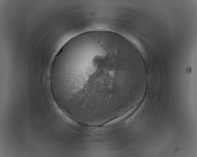 X0000094461382200711211531