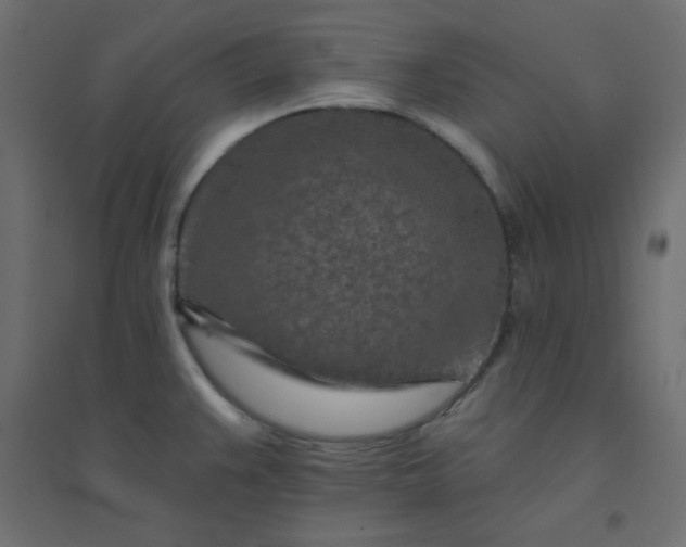 X0000094461383200711211531