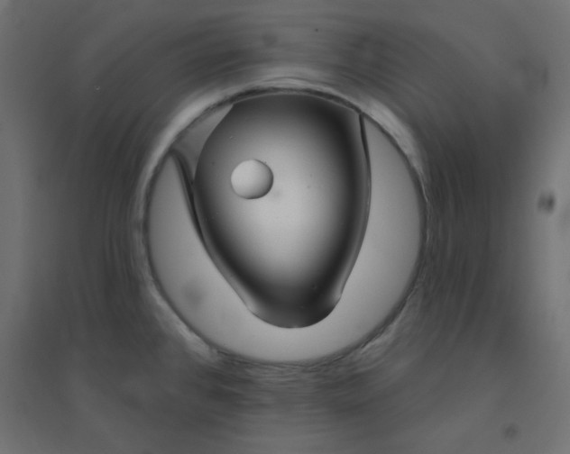 X0000094461384200711211531