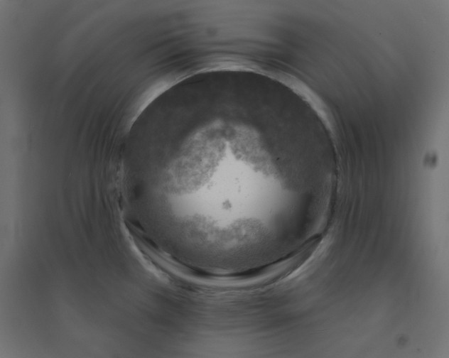 X0000094461385200711211531