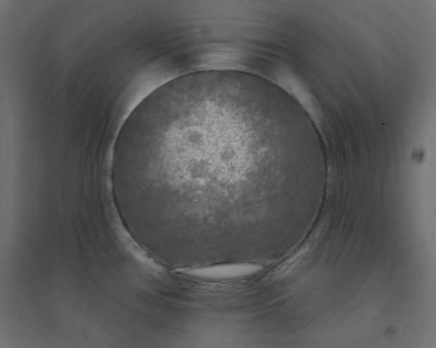 X0000094461386200711211531