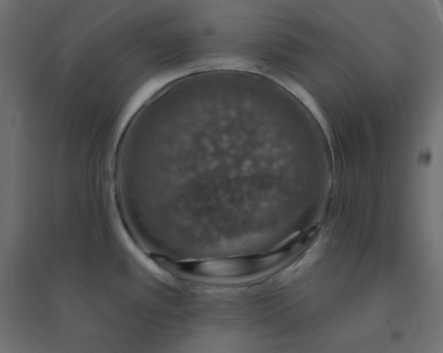 X0000094461389200711211531