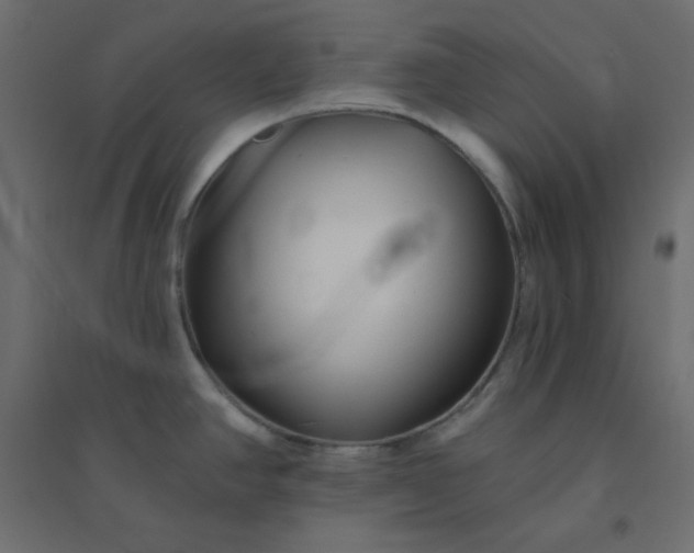 X0000094461390200711211531