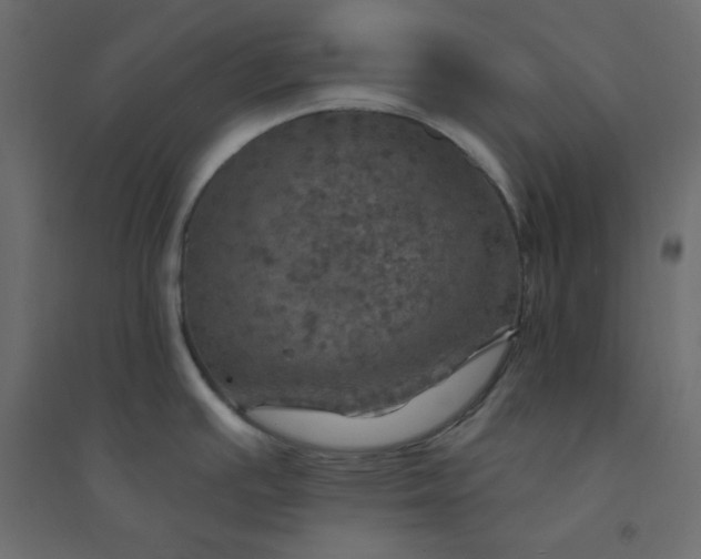 X0000094461391200711211531