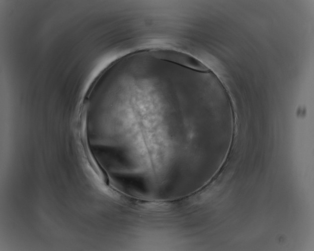 X0000094461392200711211531