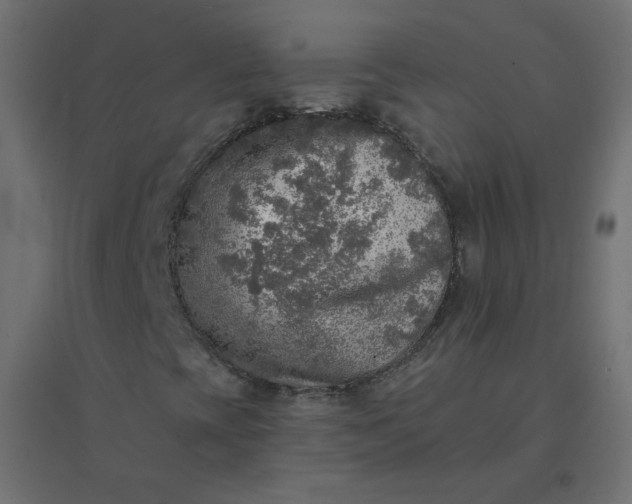 X0000094461393200711211530