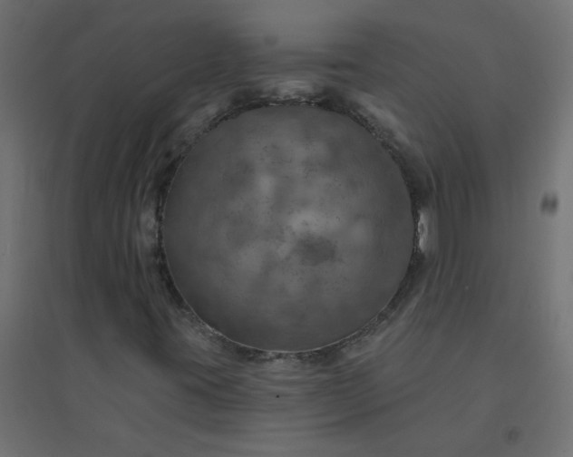 X0000094461395200711211530