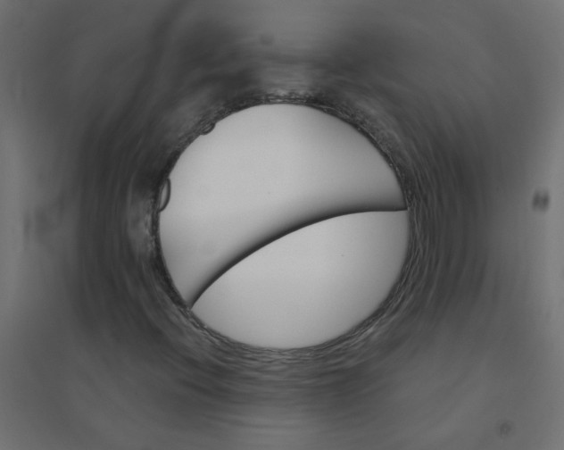 X0000094461396200711211530