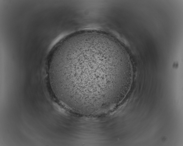 X0000094461400200711211530