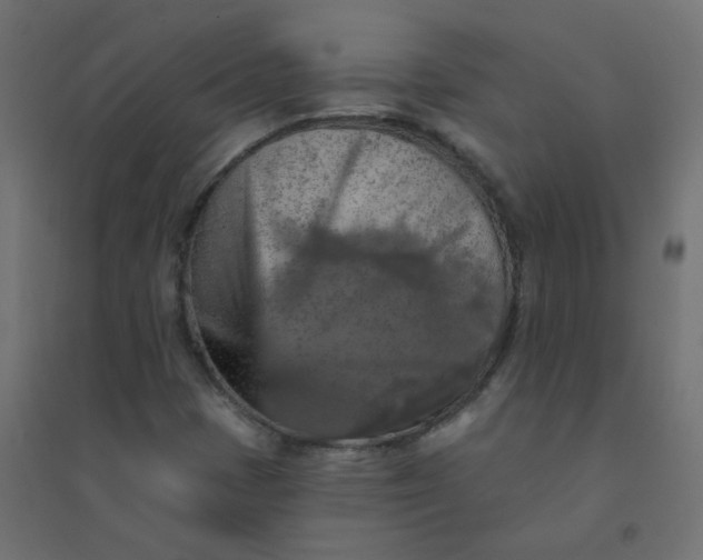 X0000094461401200711211530