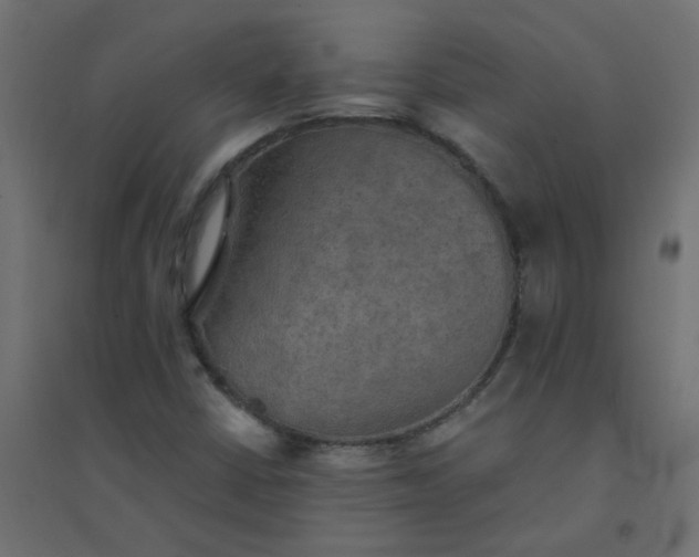 X0000094461402200711211530