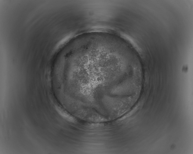 X0000094461403200711211530