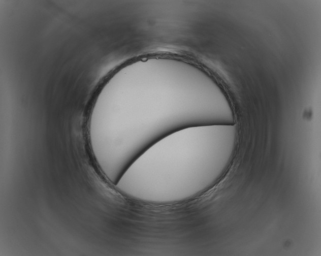 X0000094461404200711211530