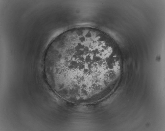 X0000094461405200711211530