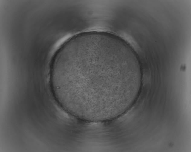 X0000094461406200711211530