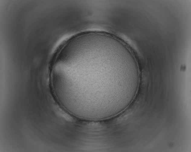 X0000094461408200711211530
