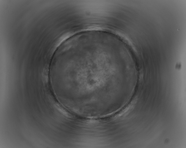 X0000094461409200711211530