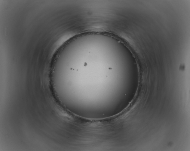 X0000094461410200711211530