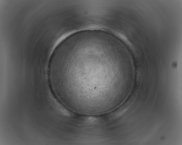X0000094461412200711211530