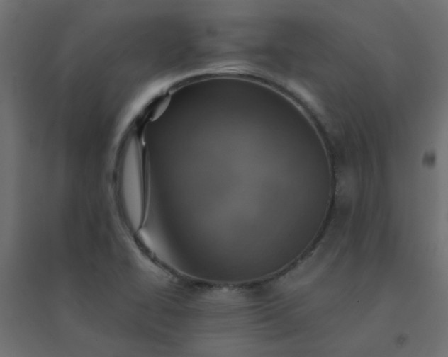 X0000094461414200711211530