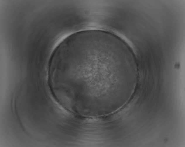 X0000094461415200711211530