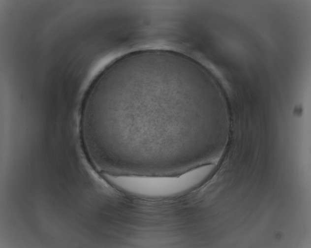 X0000094461416200711211530