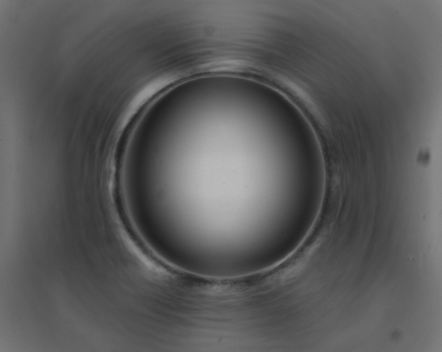 X0000094461418200711211530