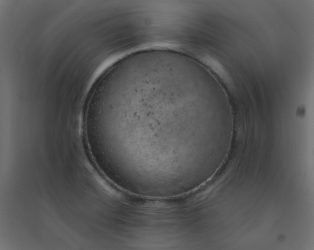 X0000094461420200711211530