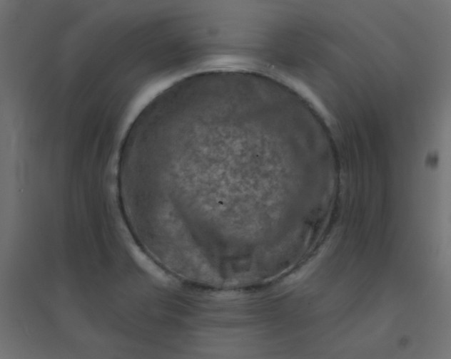 X0000094461421200711211530