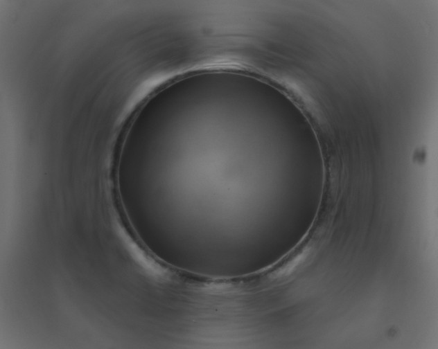 X0000094461422200711211530