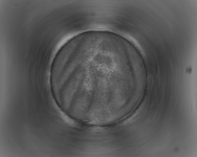 X0000094461424200711211530