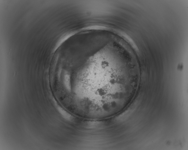 X0000094461425200711211530