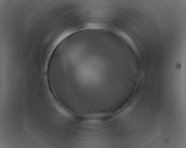 X0000094461427200711211530