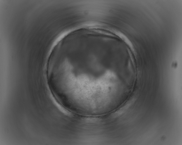 X0000094461429200711211530