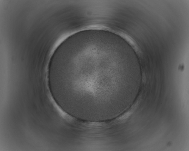 X0000094461430200711211530