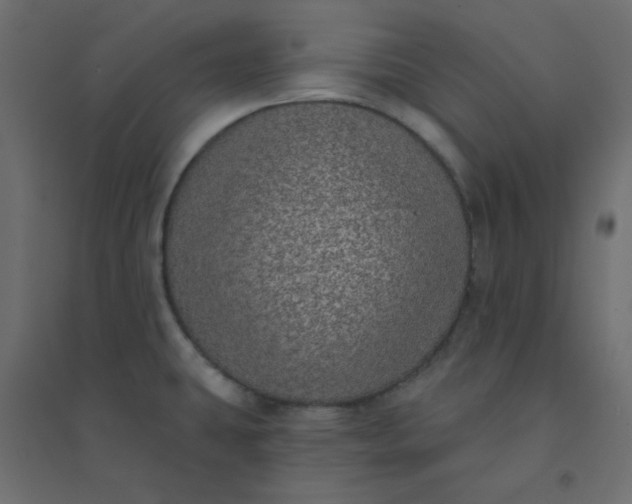 X0000094461431200711211530