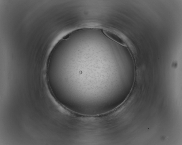 X0000094461432200711211531