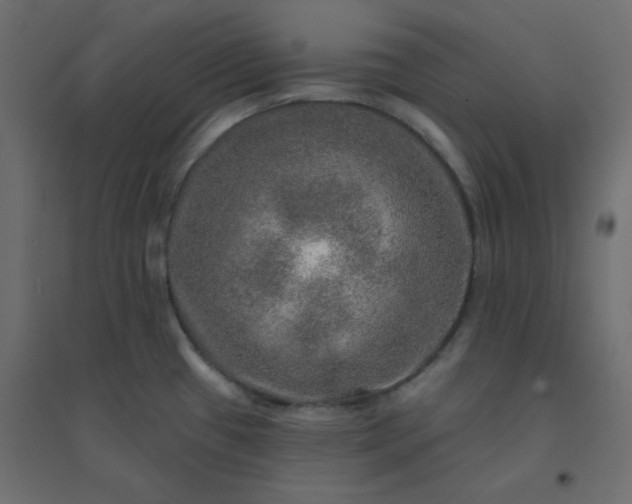 X0000094461433200711211531