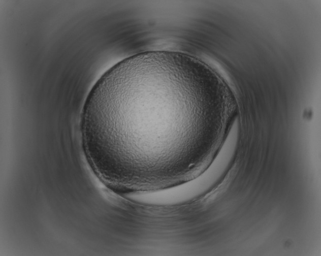 X0000094461434200711211531