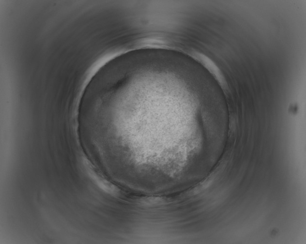 X0000094461435200711211531