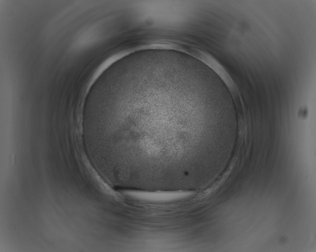 X0000094461436200711211531