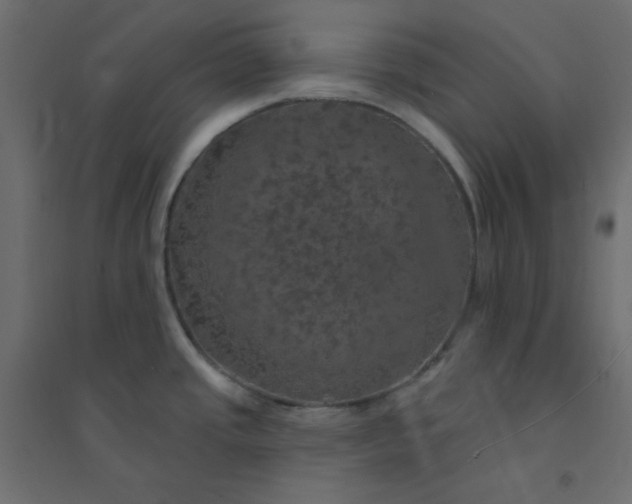 X0000094461437200711211531