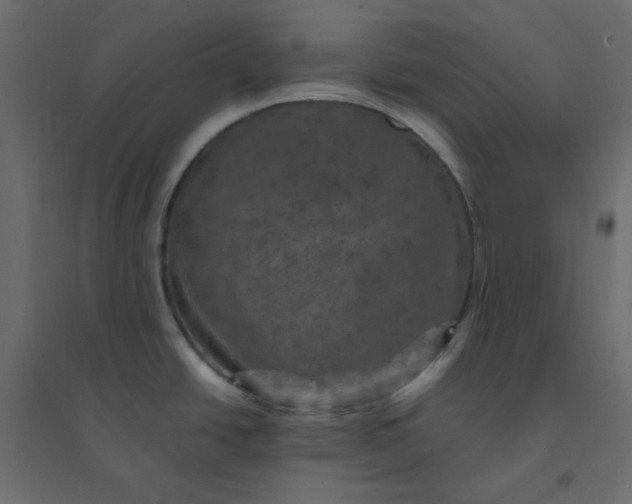 X0000094461438200711211531