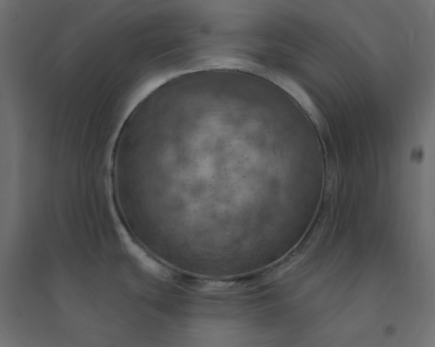 X0000094461439200711211531