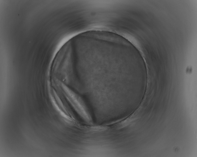 X0000094461440200711211531