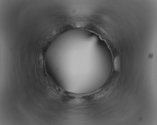 X0000094461443200711211530