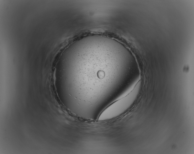 X0000094461445200711211530