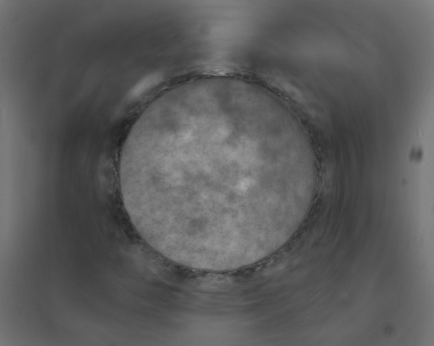 X0000094461446200711211530